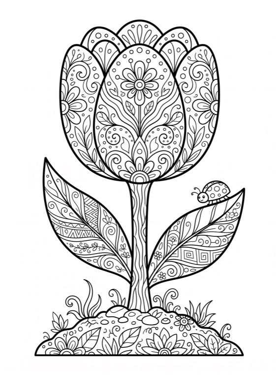Blooming Tulip